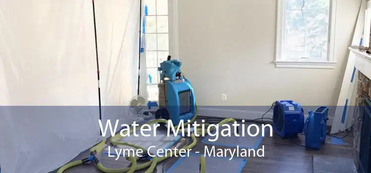Water Mitigation Lyme Center - Maryland