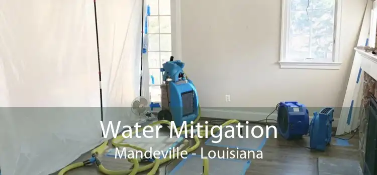 Water Mitigation Mandeville - Louisiana