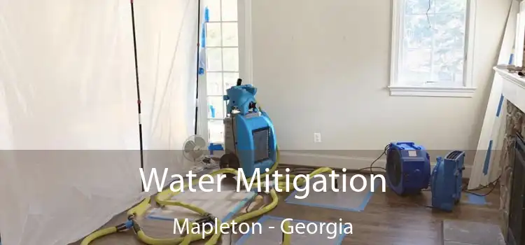 Water Mitigation Mapleton - Georgia