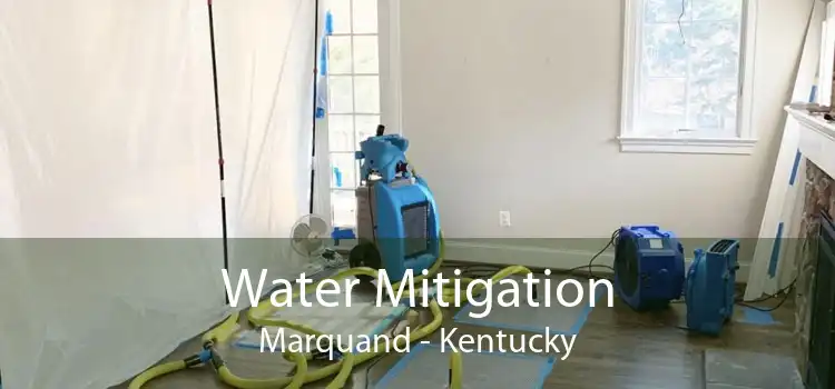 Water Mitigation Marquand - Kentucky