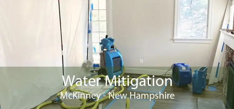 Water Mitigation McKinney - New Hampshire