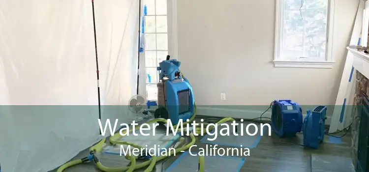 Water Mitigation Meridian - California