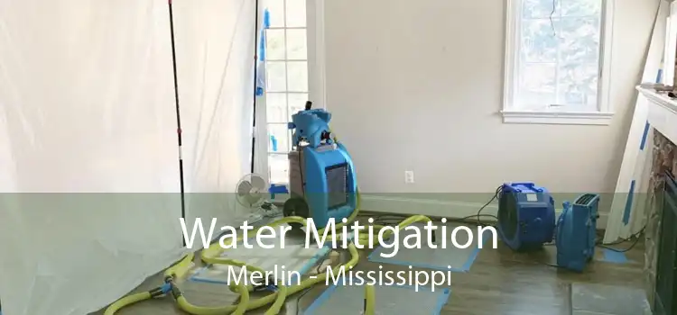Water Mitigation Merlin - Mississippi