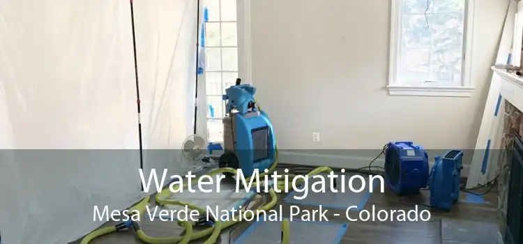 Water Mitigation Mesa Verde National Park - Colorado