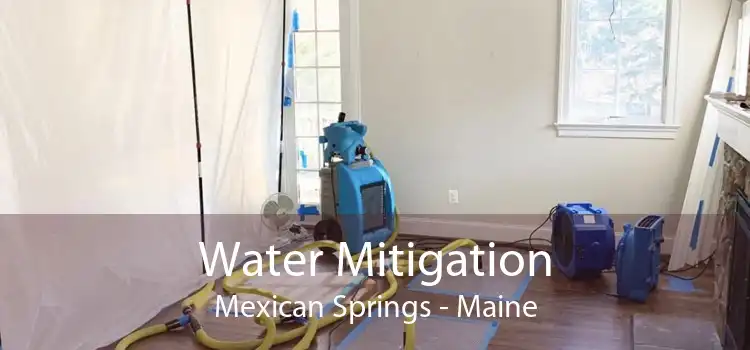 Water Mitigation Mexican Springs - Maine