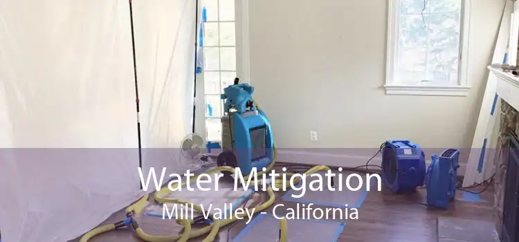 Water Mitigation Mill Valley - California
