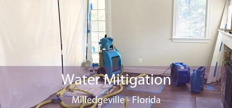 Water Mitigation Milledgeville - Florida