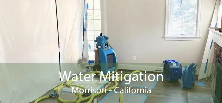 Water Mitigation Morrison - California