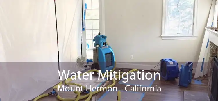 Water Mitigation Mount Hermon - California