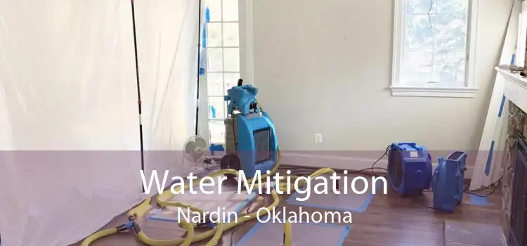 Water Mitigation Nardin - Oklahoma