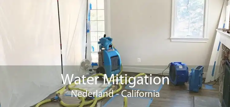 Water Mitigation Nederland - California