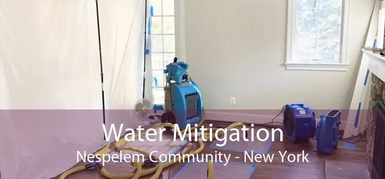 Water Mitigation Nespelem Community - New York