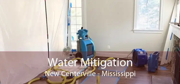 Water Mitigation New Centerville - Mississippi