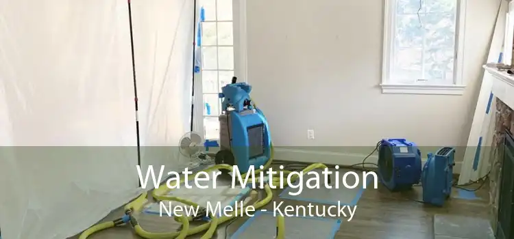 Water Mitigation New Melle - Kentucky