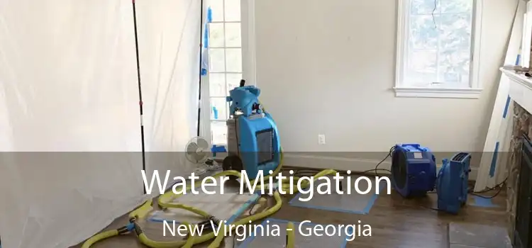 Water Mitigation New Virginia - Georgia