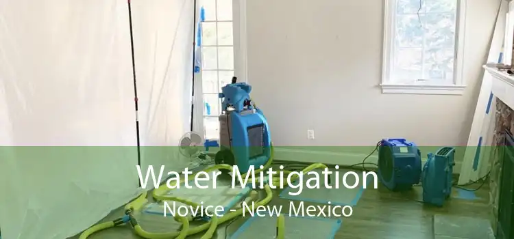Water Mitigation Novice - New Mexico
