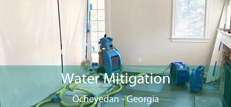 Water Mitigation Ocheyedan - Georgia