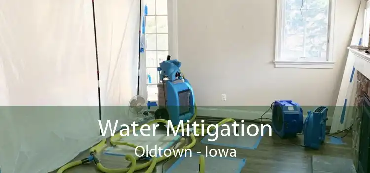 Water Mitigation Oldtown - Iowa