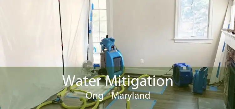 Water Mitigation Ong - Maryland