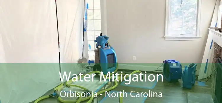 Water Mitigation Orbisonia - North Carolina