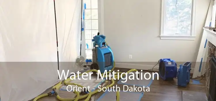 Water Mitigation Orient - South Dakota