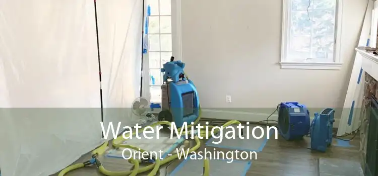 Water Mitigation Orient - Washington