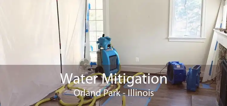 Water Mitigation Orland Park - Illinois
