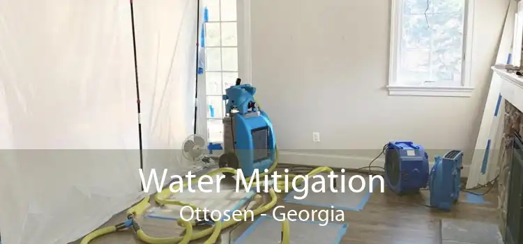 Water Mitigation Ottosen - Georgia