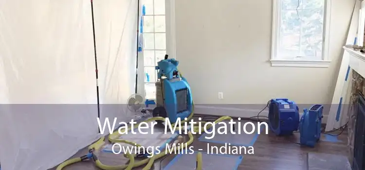 Water Mitigation Owings Mills - Indiana
