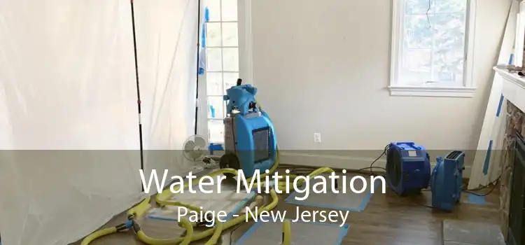 Water Mitigation Paige - New Jersey