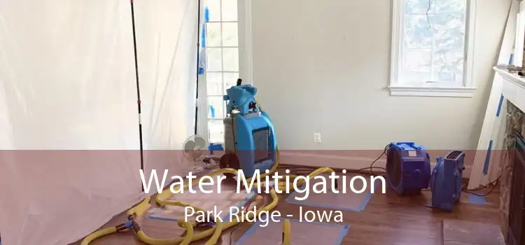 Water Mitigation Park Ridge - Iowa