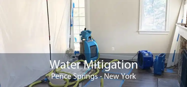 Water Mitigation Pence Springs - New York