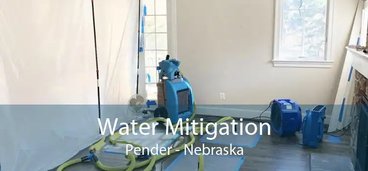 Water Mitigation Pender - Nebraska
