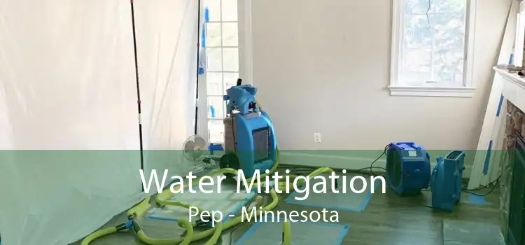 Water Mitigation Pep - Minnesota