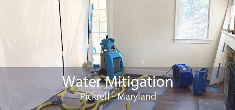 Water Mitigation Pickrell - Maryland
