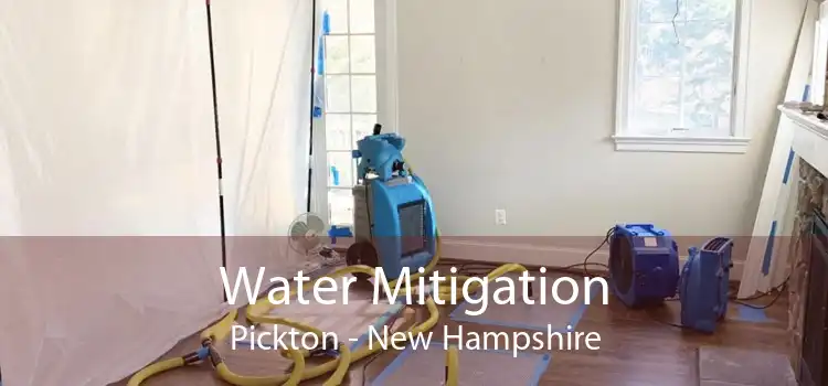 Water Mitigation Pickton - New Hampshire