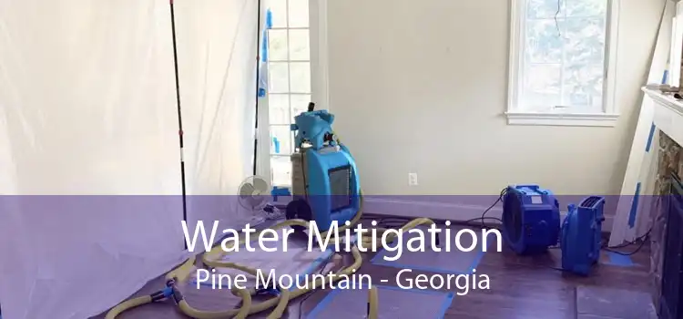 Water Mitigation Pine Mountain - Georgia