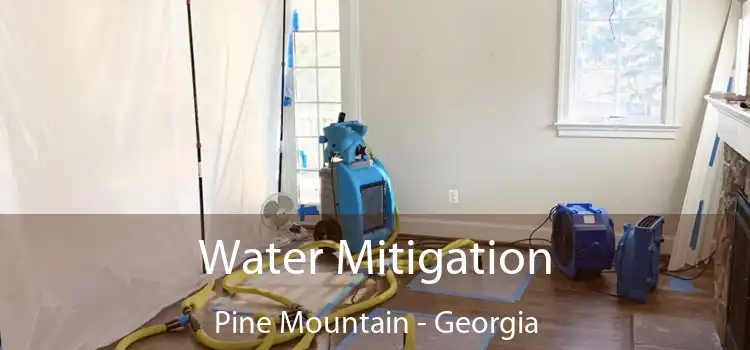 Water Mitigation Pine Mountain - Georgia