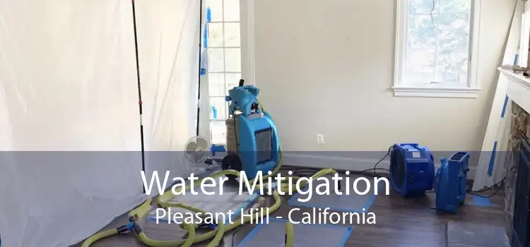 Water Mitigation Pleasant Hill - California