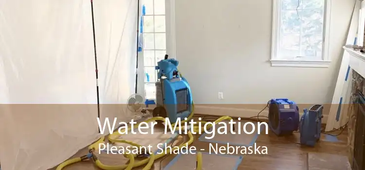 Water Mitigation Pleasant Shade - Nebraska