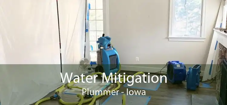Water Mitigation Plummer - Iowa