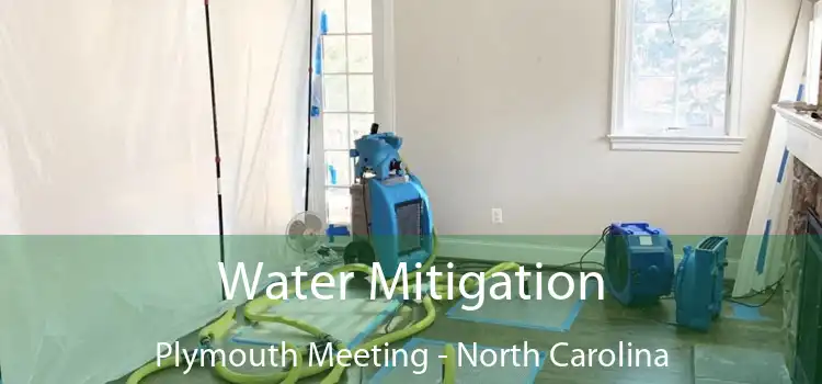 Water Mitigation Plymouth Meeting - North Carolina