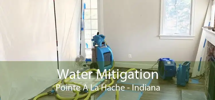 Water Mitigation Pointe A La Hache - Indiana