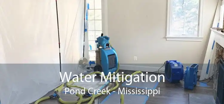 Water Mitigation Pond Creek - Mississippi