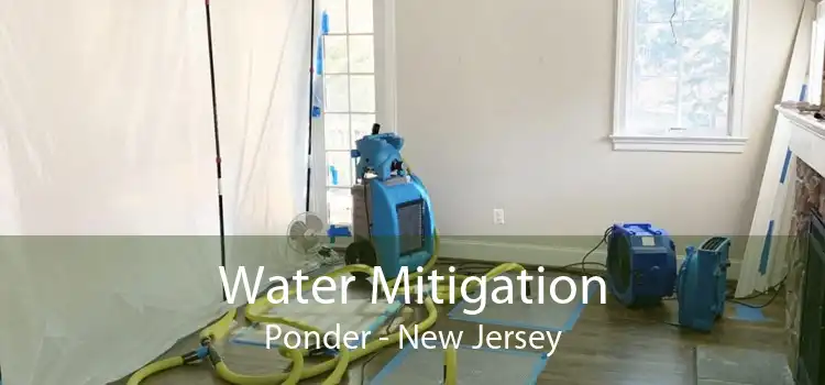Water Mitigation Ponder - New Jersey