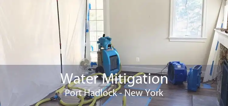 Water Mitigation Port Hadlock - New York