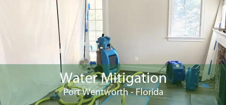 Water Mitigation Port Wentworth - Florida