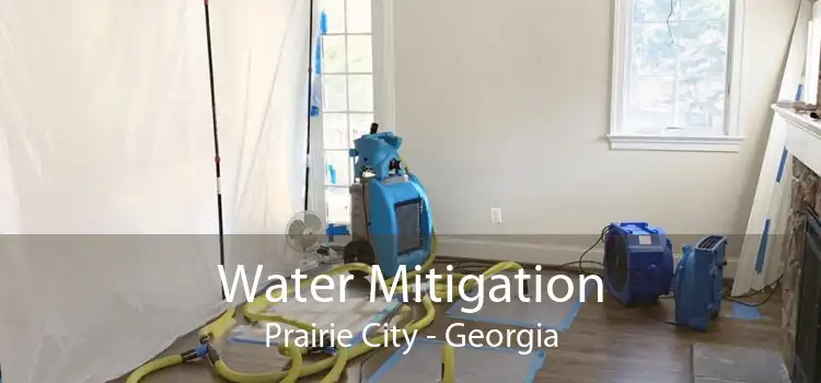 Water Mitigation Prairie City - Georgia