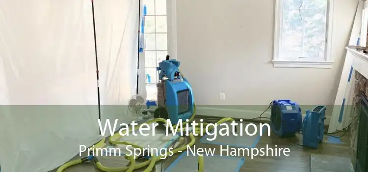 Water Mitigation Primm Springs - New Hampshire