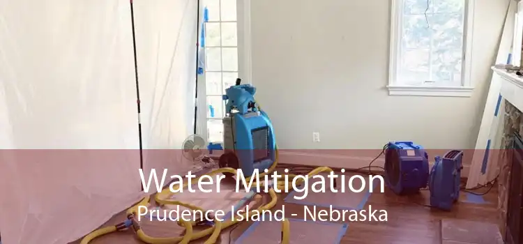 Water Mitigation Prudence Island - Nebraska